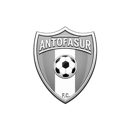 antofasur